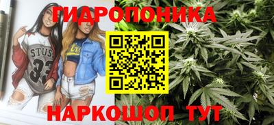 крисы Беслан