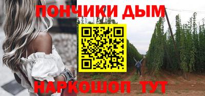крисы Бийск