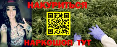 крисы Бийск